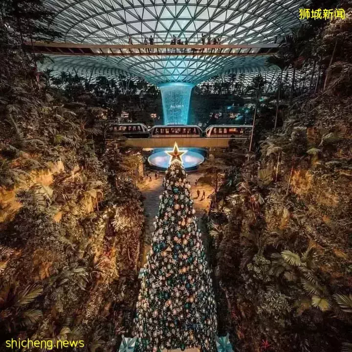 2021新加坡圣诞打卡攻略出炉🎄高颜值圣诞树、梦幻氛围爆表,错过再等一年咯✨