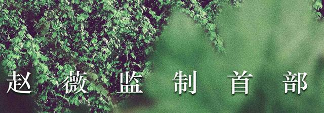 赵薇监制，新加坡一哥李南星复出，陈意涵老公导演，这剧为啥不红