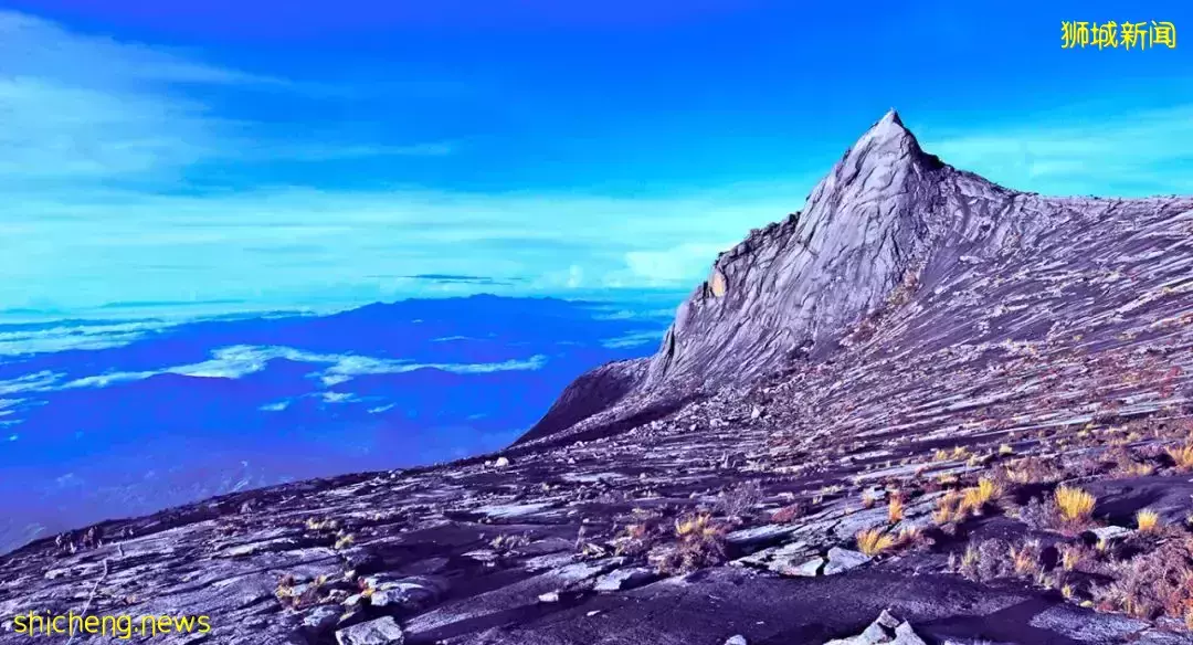 活久見! 新加坡鄰國下起了鵝毛大雪,29年頭一次