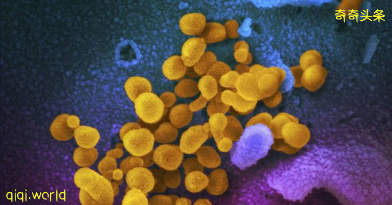 ◤复管令SOP◢ 期待今天０确诊 遇见美好的０分 