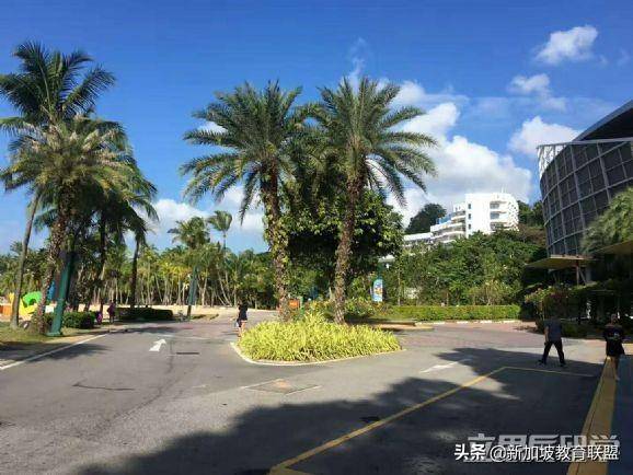新加坡南洋理工大学商学院好吗？实力强吗