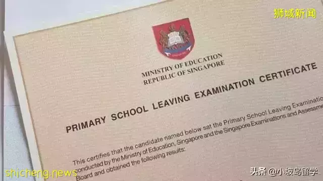 關于新加坡教育體系,你必須要知道的幾件事