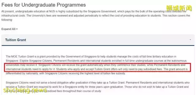 精英主义：新加坡留学为何越来越香