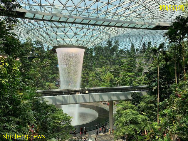 留學“爆款”國家，新加坡爲什麽這麽火