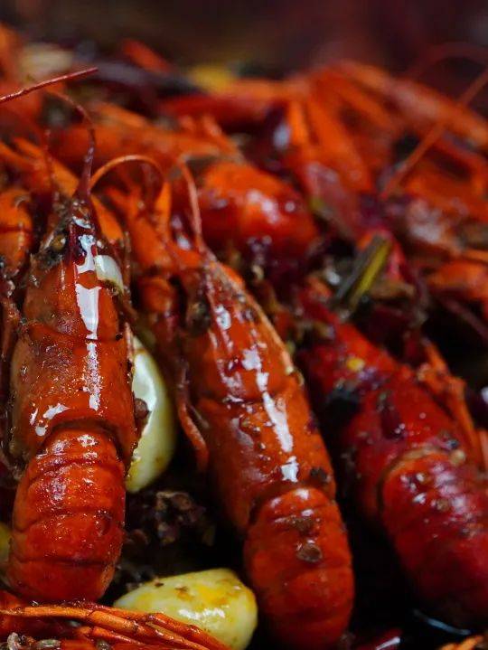 思味小火锅又出新锅了?!5折吃垮这家开了多年的火锅串串店