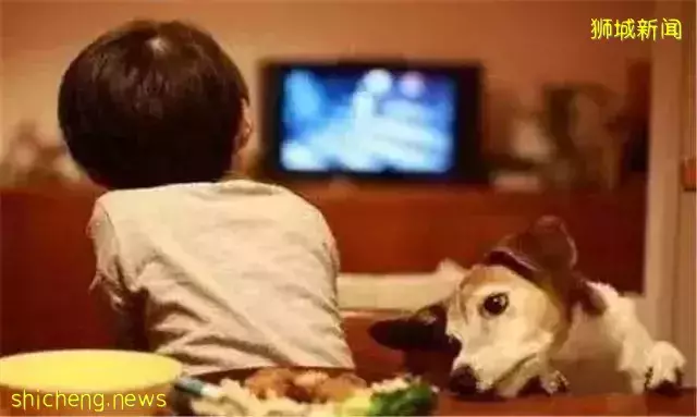 “因为同情心,我被新加坡计程车司机骗钱了......"