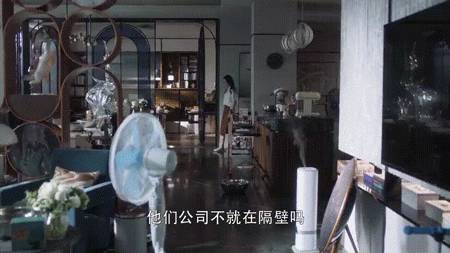 新加坡一成不變的夏天裏，我的家卻充滿新鮮感