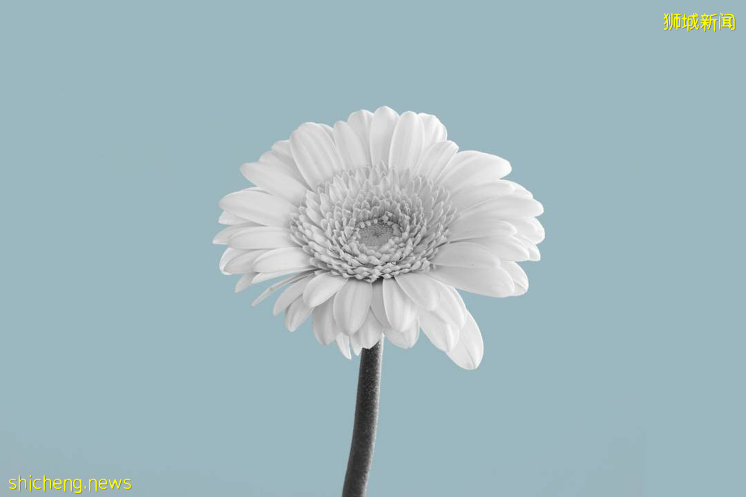 立化中學一學生被砍殺!兩人素不相識,部長換FB頭像悼念