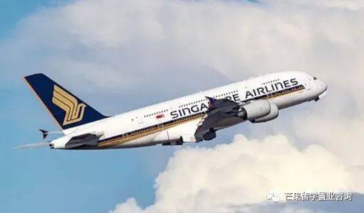 新航恢複重慶航班！從新加坡飛中國有望免隔離，最新回國信息拿好不謝