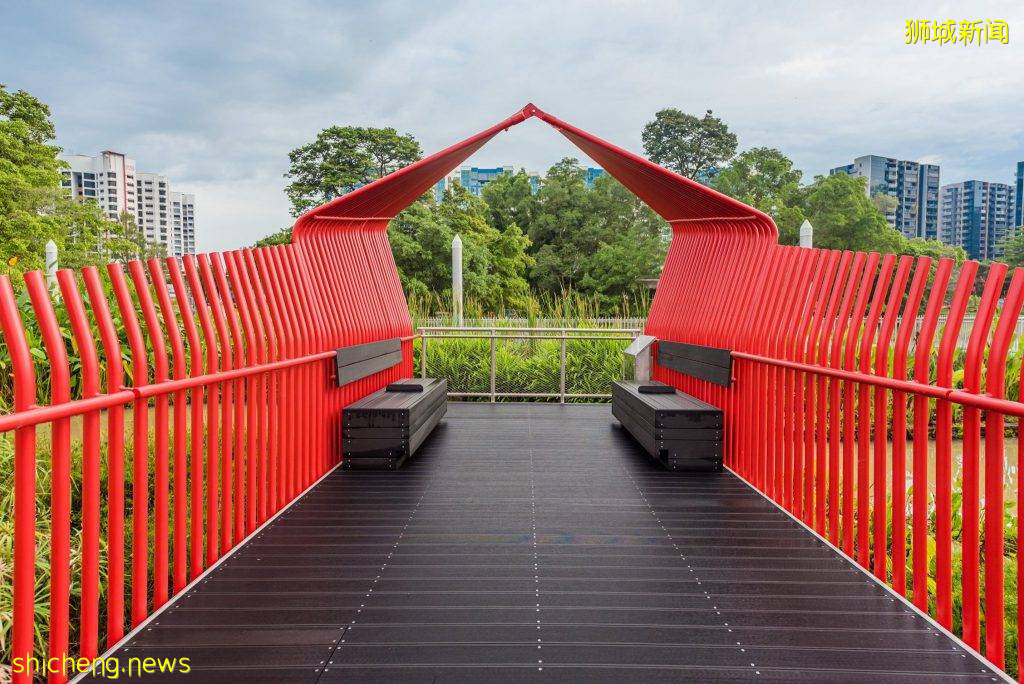 新加坡最大的人造浮动湿地开放!ABC Waters @ Jurong Lake📌设有木板路+凉亭,徒步+钓鱼新去处😎