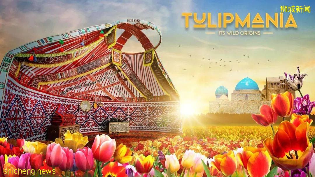 新加坡滨海湾花园郁金香花展绚丽登场！带你穿越到哈萨克！去游牧，去流浪