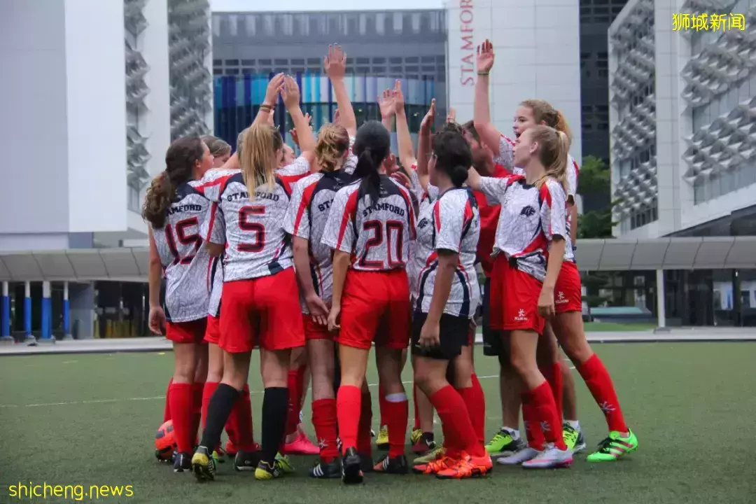 史上最強攻略!在新加坡如何選學校?國際學校vs政府學校,哪個好