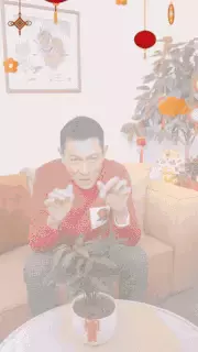 明星這樣過春節！周傑倫、林俊傑、劉德華、楊冪、吳尊