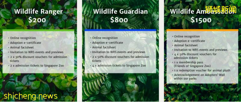 號外!新加坡可以認養企鵝、猩猩、樹懶,能帶回家嗎!