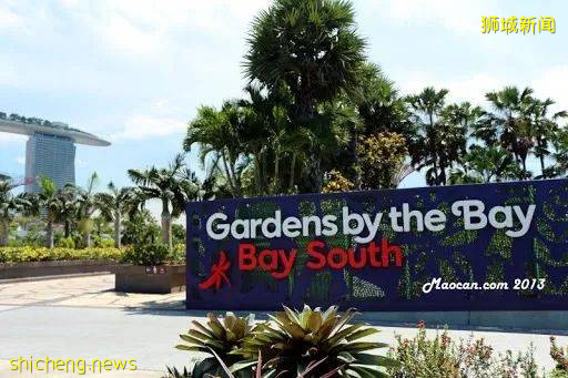 新加坡解封了，這14個活動好玩又安全！線上線下都有