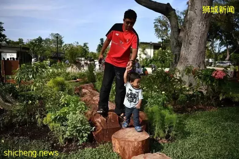 新加坡鼓励低碳出行又出新招啦