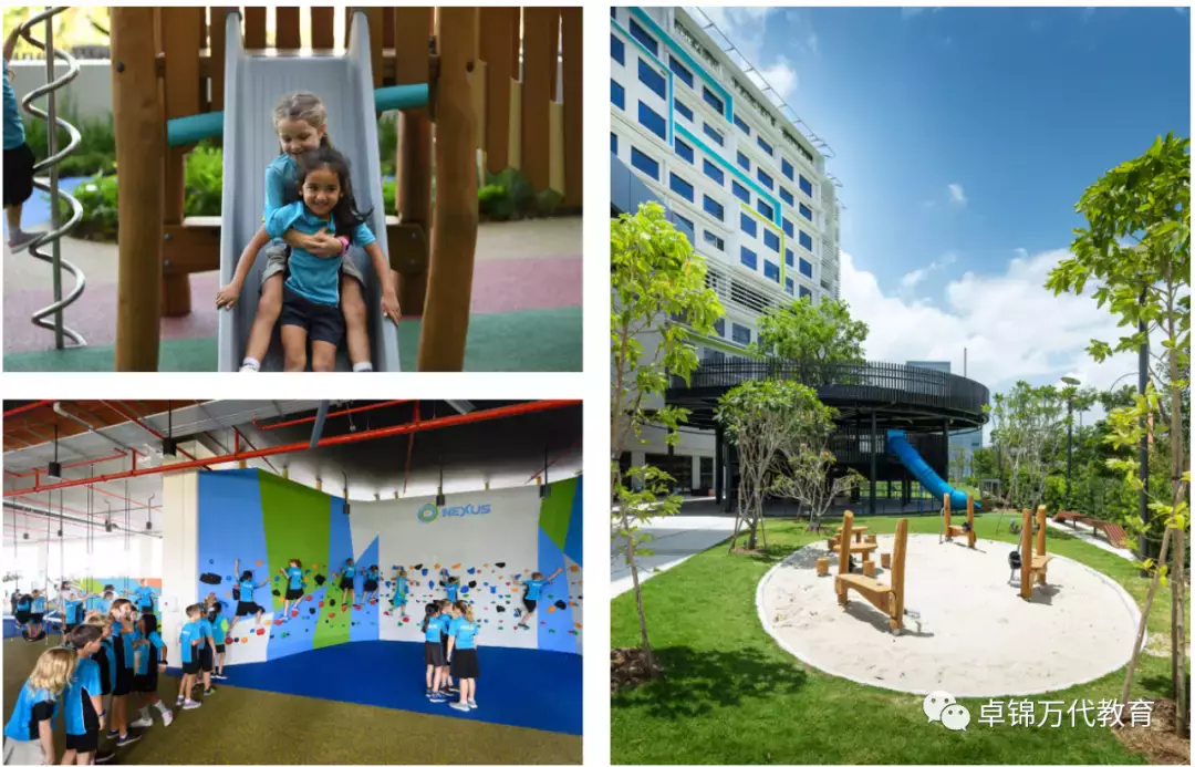 新加坡國際學校 【3】萊仕國際學校Nexus