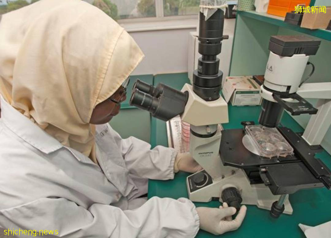 這種超級病菌比新冠還可怕，每年新加坡有8000多人感染