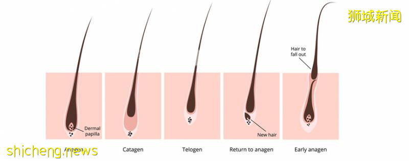 神仙打架！LookFantastic也推出618超級大促活動，超多網紅品牌7折！皇後獨家清單大公開，買買買不要停!