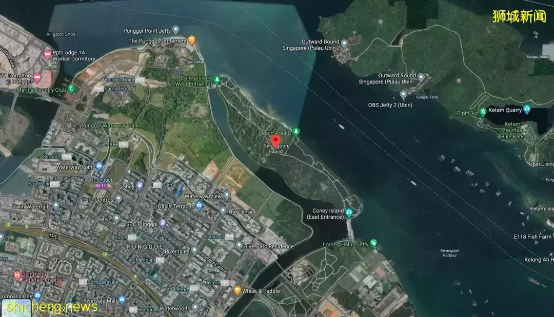 在新加坡的東北部,有個隱秘的小島!不用坐船,每天限時開放