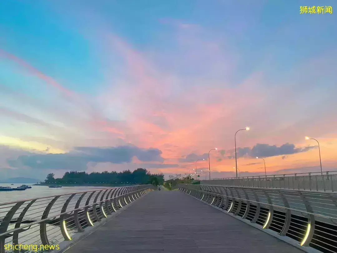 新加坡最新网红景点!风景绝美必打卡