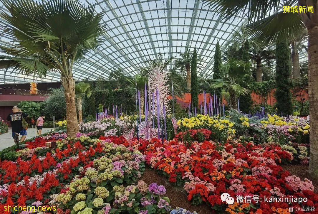 穿越魔幻国度！巨型玻璃艺术品出现在滨海湾