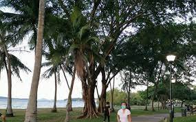 巡逻车广播温馨提示:散步也要戴好口罩啦