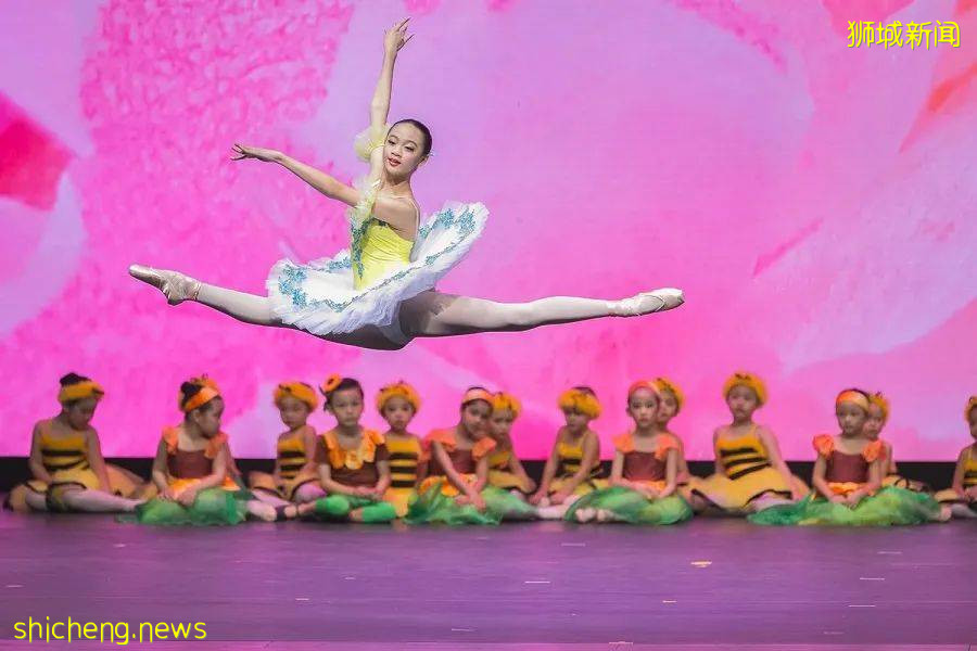 一年一度！新加坡家長都在這裏通宵打地鋪排隊，到底在搶啥