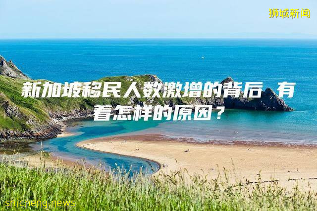 新加坡移民人数激增的背后 有着怎样的原因