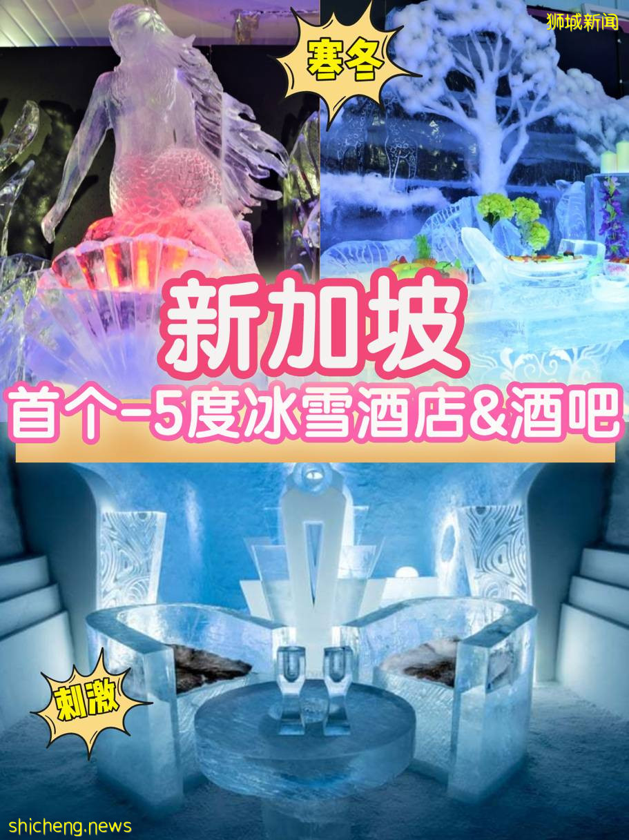 体验新加坡的冬天！首个冰雪展来袭，看冰雕、喝冰饮、打雪仗