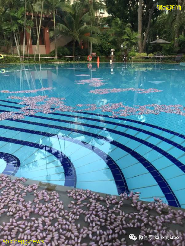 “确诊冠病后,医生开了两款药,我就自己回家了....”