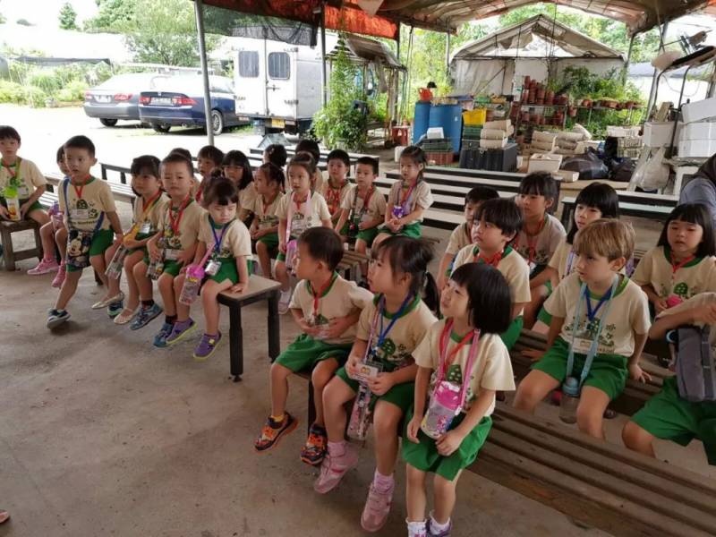 種水稻，摘蘑菇，新鮮蘆荟飲品！藏在新加坡的7大蔬菜農場我找到啦