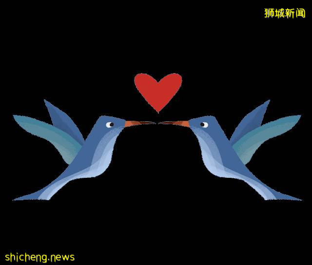 新加坡租屋区出现鸳鸯!你认识坡岛上这三种常见小鸟吗