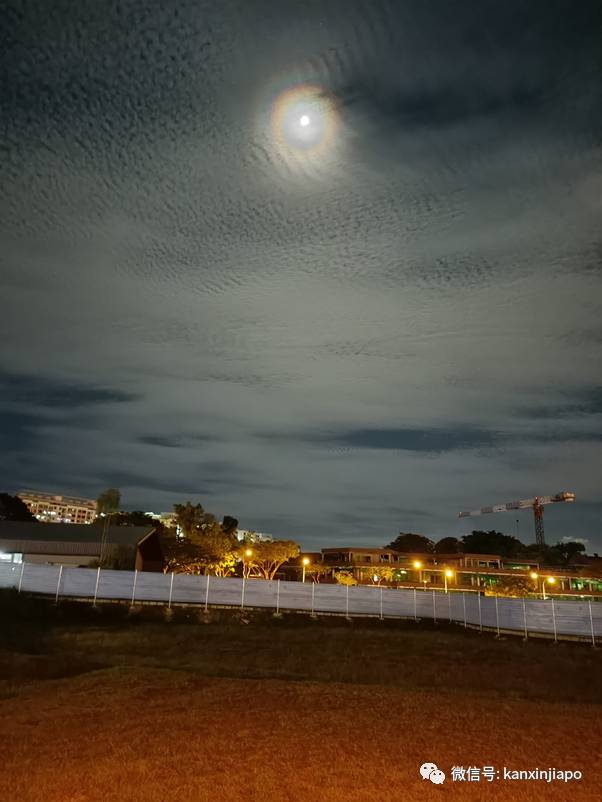梦幻月晕!新加坡昨晚出现“吸血鬼”月亮