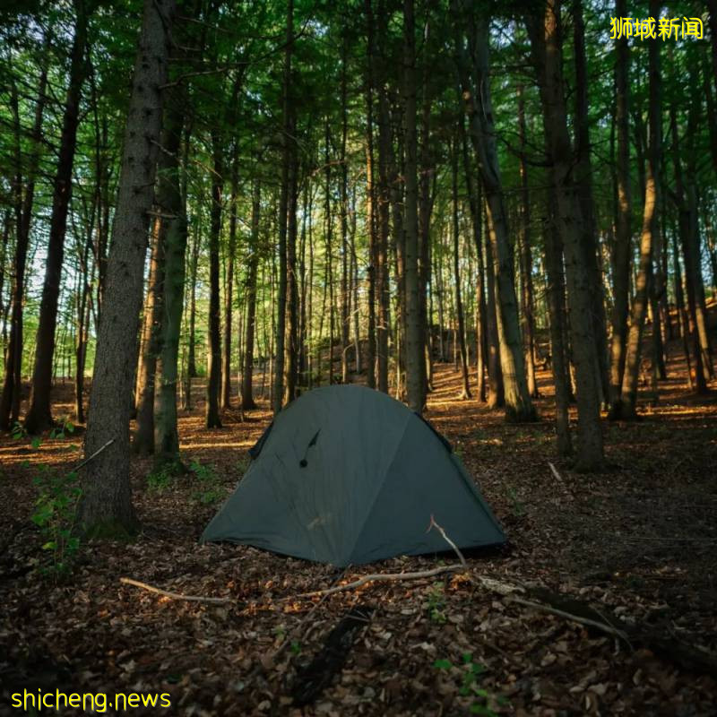 膽小慎入！新加坡老炮兒才知道的“都市夜傳說”