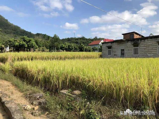 六进南安乐峰,守护潘受祖居