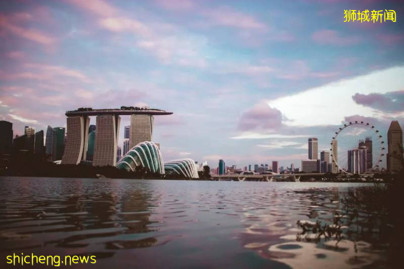 重磅！！PEP VS EP准證最全解析！看進來