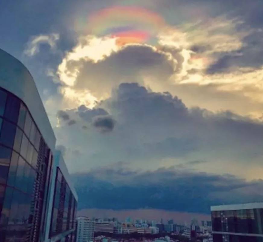 罕見!新加坡聖淘沙這條河變成了粉色,驚現大批死魚!39年創記錄暴雨太作了