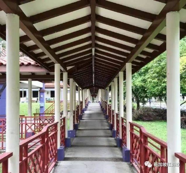 狮城最贴心的一道风景:无处不在的有盖走廊