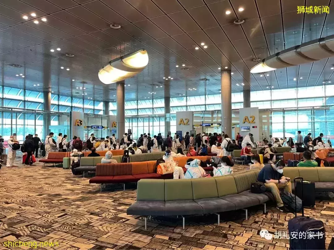 全過程記錄!4月4日從新加坡飛往封城中的上海,入境隔離多圖