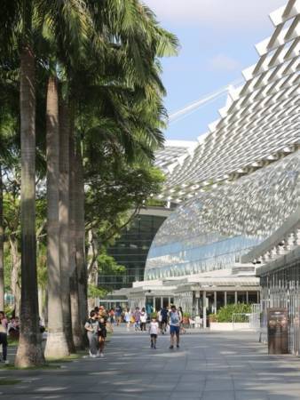 青年金沙飙电板车 撞断男童手骨