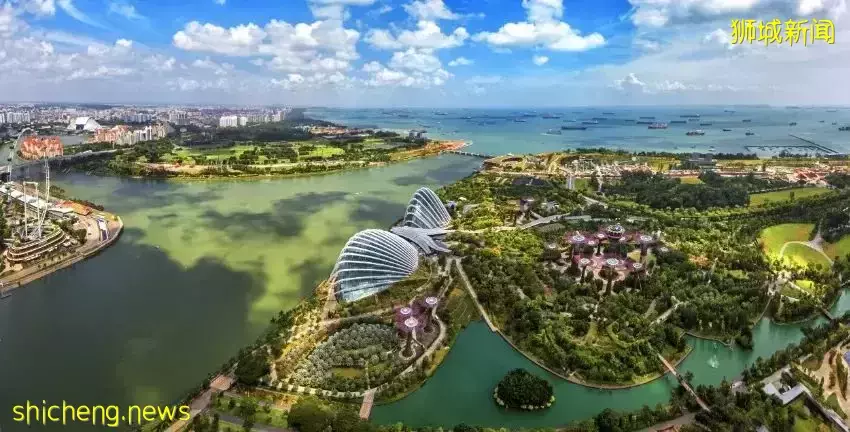 这位中国PR在新加坡买下一层楼!他们却放弃身份,从新加坡润回国