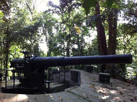 周末只会宅家躺尸？这些新加坡天然氧吧你一定得知道