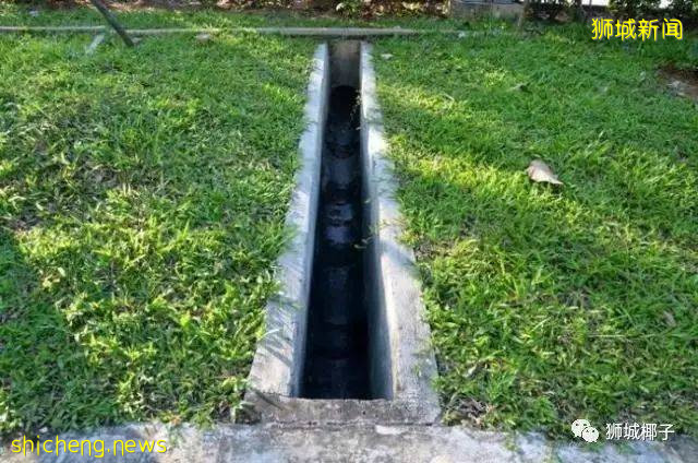 今天,新加坡被大暴雨淹沒了!