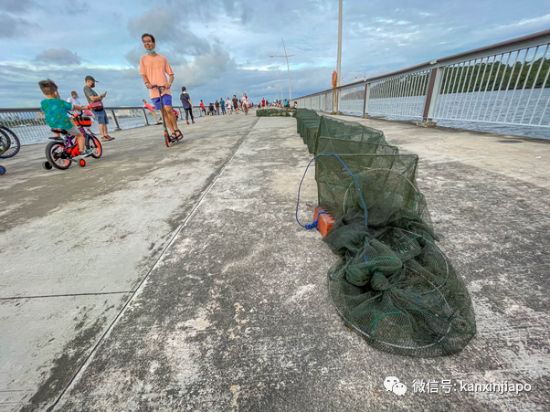 捕获野生李显龙与夫人看大海、逛公园、玩自拍