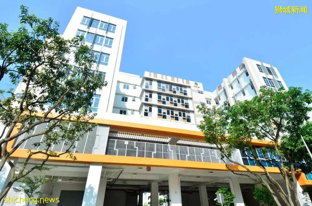 新加坡新增607起,仁慈疗养院28人确诊,DHL运输中心出现大型感染群