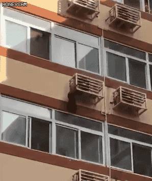 哇塞！新加坡高層公寓現“飛賊”飛檐走壁，蜘蛛俠？成龍徒弟