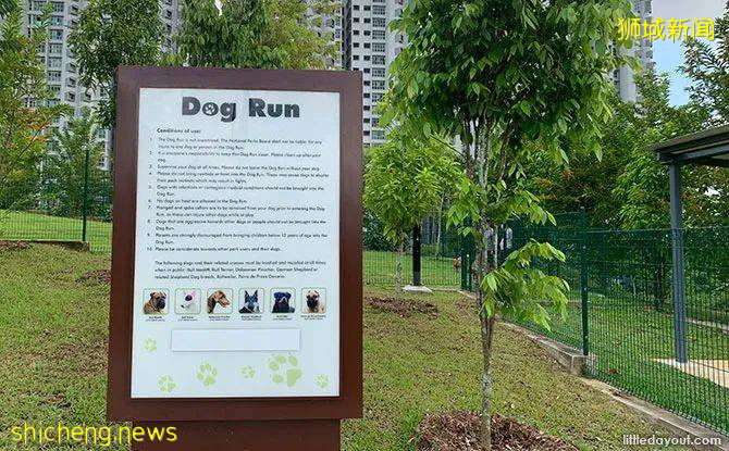 剛剛開放！新加披山頂公園！看蝴蝶、遊樂場、網紅餐廳，一起溜娃吧