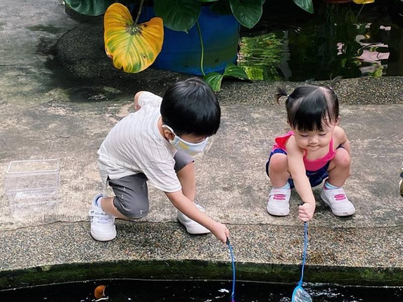 周末新玩法!新加坡仟湖魚場🐟 賞魚+魚療+搜魚體驗活動!免費入場、免費專程巴士載送