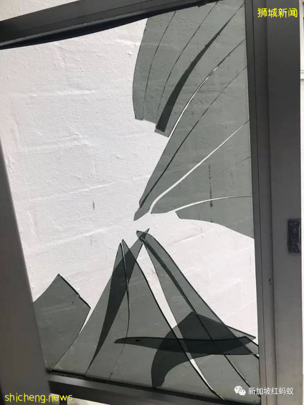 獅城患病母子住在破舊屋子　沒錢看醫生冰箱內全是黑色的東西!